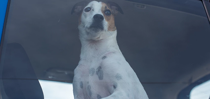 Car Lockout Solutions in East La Mirada, California