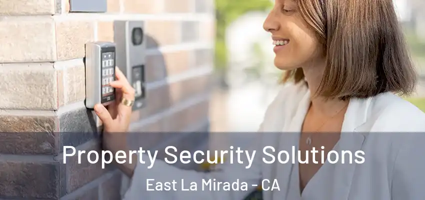  Property Security Solutions East La Mirada - CA